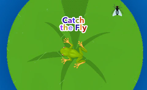 Catch the Fly game thumbnail