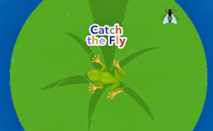 Catch the Fly
