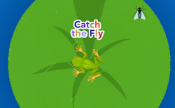 Catch the Fly
