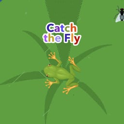 Juega gratis a Catch the Fly