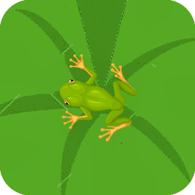 Catch the Fly By Gamepix