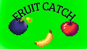 Image for Catch the Fruits