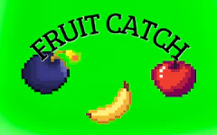 Catch the Fruits