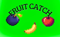 Catch the Fruits