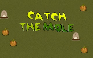 Catch the Mole