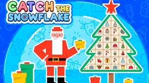 Image for Catch the Snowflake