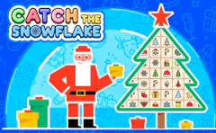 Catch the Snowflake