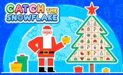 Catch the Snowflake