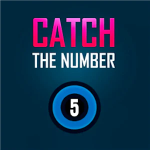 Catch The Number
