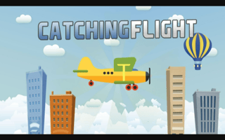 Catching Flight game cover