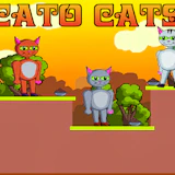 Cato Cats
