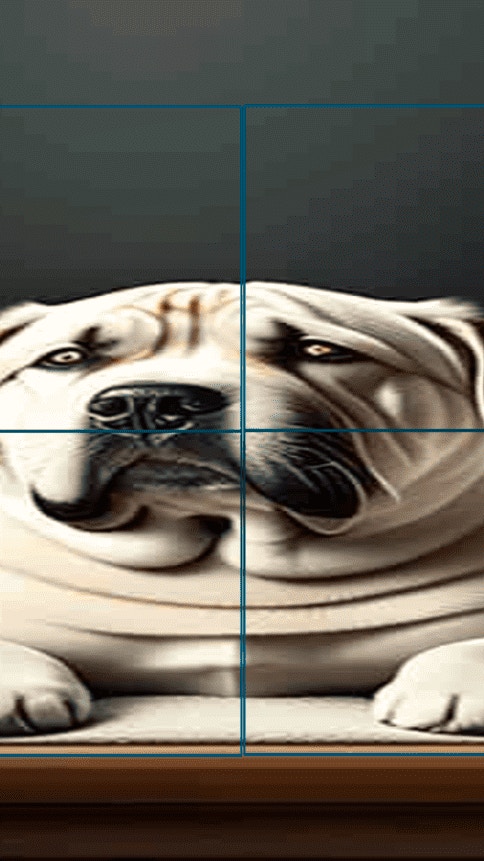 Cats and Dogs Slide Puzzle