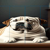 Cats and Dogs Slide Puzzle