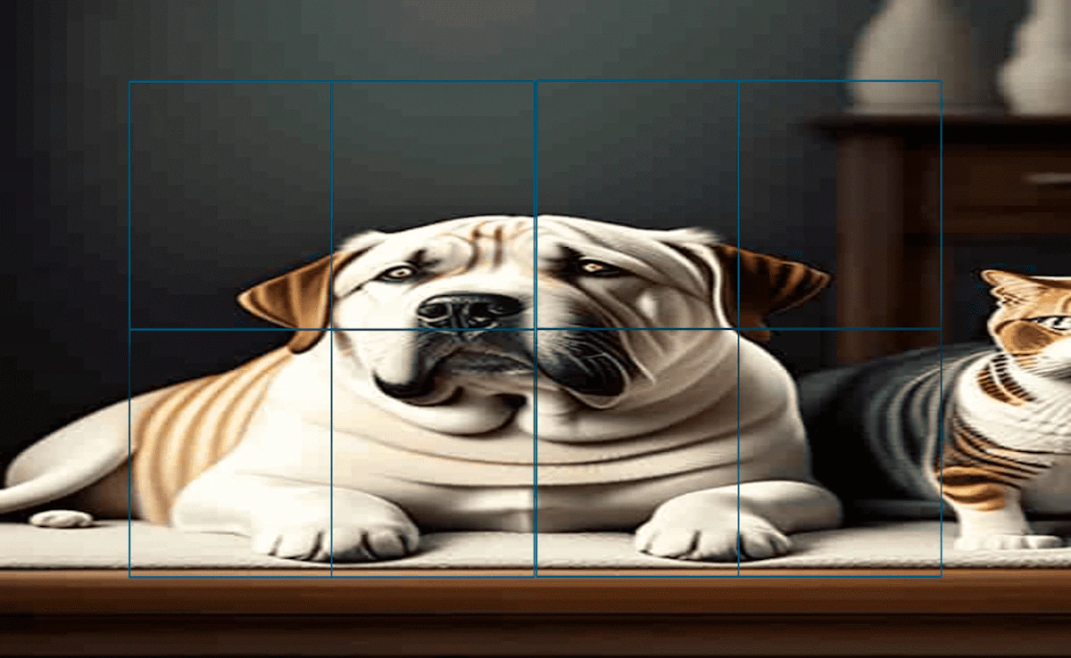 Play Cats and Dogs Slide Puzzle — free online Animal game