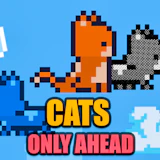 Cats Only Ahead