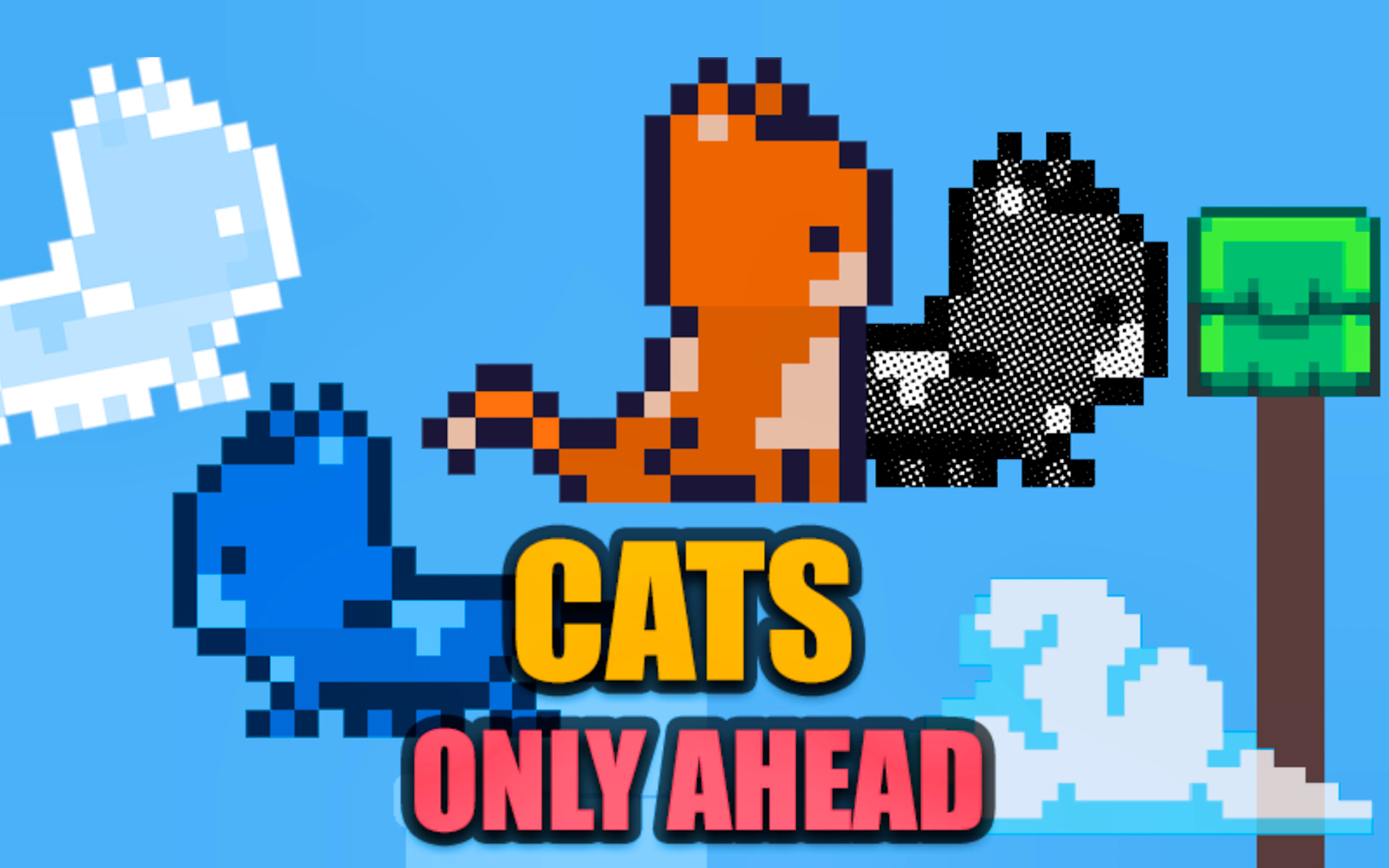 Cats Only Ahead