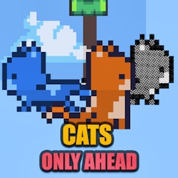 Cats Only Ahead