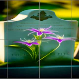 Cemeteries Slide Puzzle