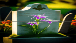 Cemeteries Slide Puzzle
