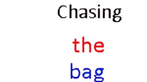 Image for Chasing the bag