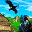 Chicken and Crow Shoot