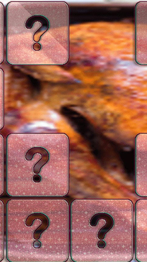 Chicken Memory Match