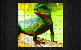 Chinese Water Dragon Jigsaw