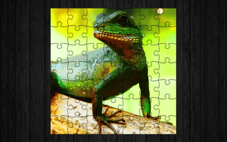Chinese Water Dragon Jigsaw game cover