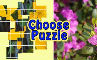 Choose Puzzle game cover