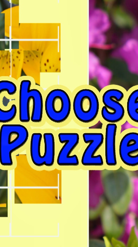 Choose Puzzle