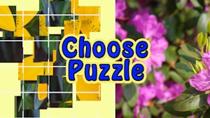 Image for Choose Puzzle