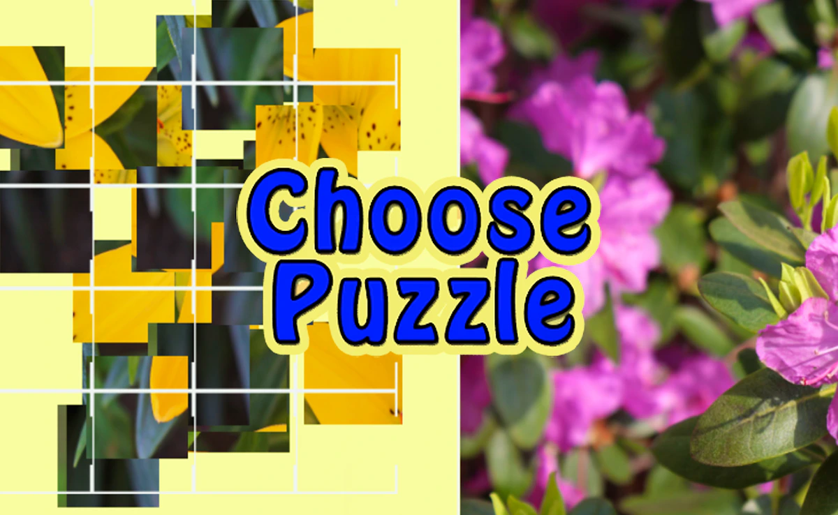 Choose Puzzle game thumbnail