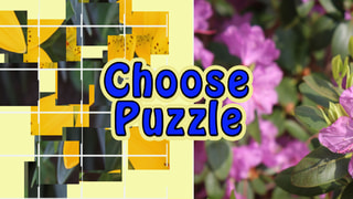Choose Puzzle