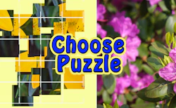 Choose Puzzle