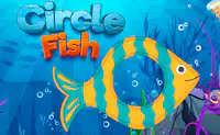 Circle Fish