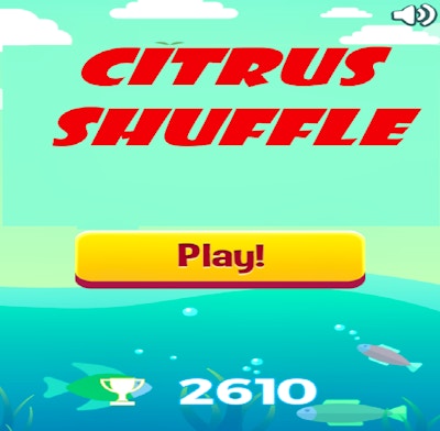 Citrus Shuffle By Gamepix