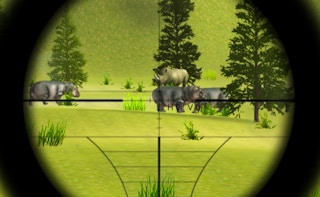 Classical Hippo Hunting game cover