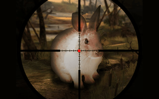 Classical Rabbit Hunting game cover