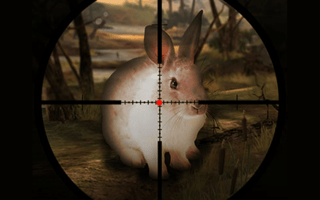 Classical Rabbit Hunting