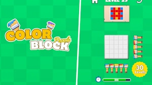 Image for Color Block - Puzzle