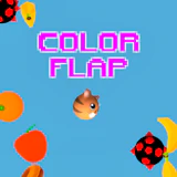 Color Flap