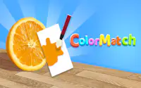 Renk Eşleme