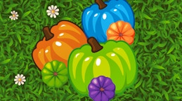 Color Pumpkin Match