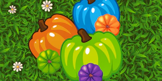 Color Pumpkin Match thumbnail