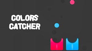 Image for Colors Catcher