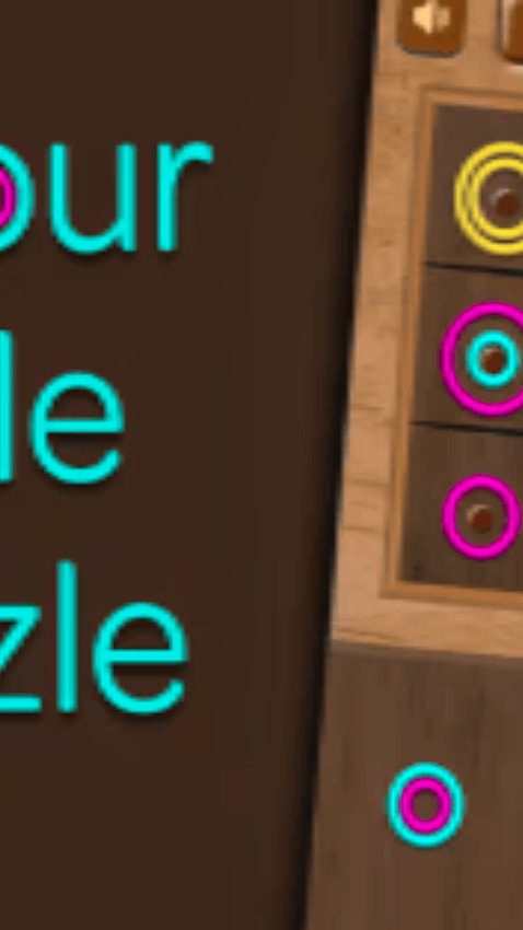 Colour Circle Puzzle