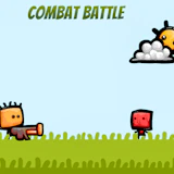 Combat Battle