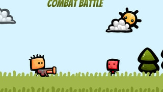 Combat Battle