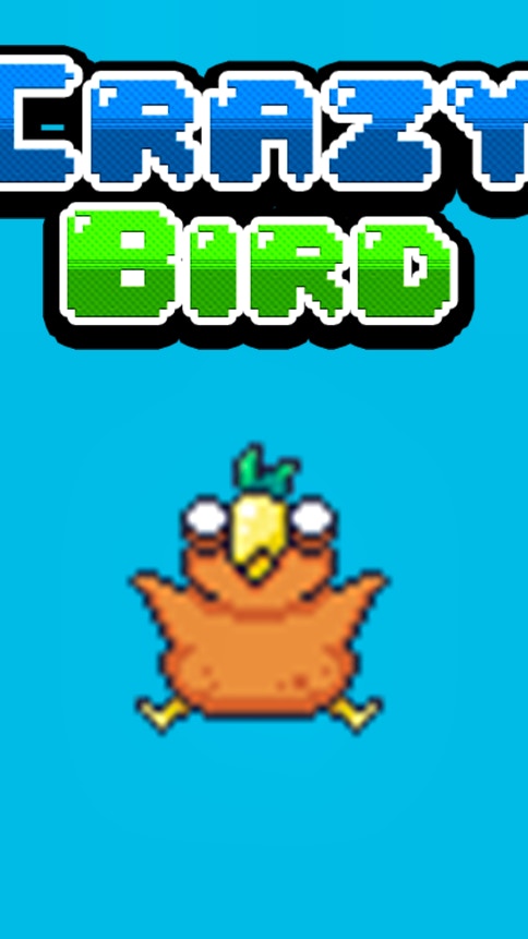 Crazy Bird