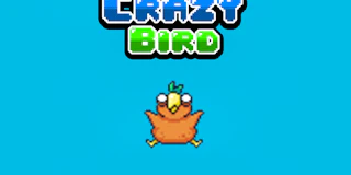 Crazy Bird thumbnail